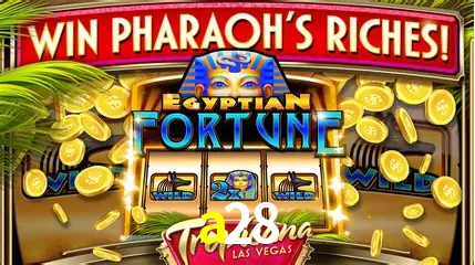 Descubra a Essência do a28: Nossa História e Compromissos